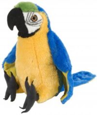 Papegoja (blå)