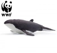 Knölval - WWF (Världsnaturfonden)