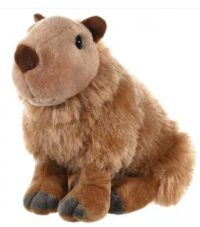 Kapybar (Vattensvin)